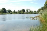 Baisley Pond 