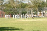 Cricket in Baisley Pond Park 