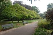 Kissena Park in Summer 
