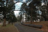 Kissena Park in Winter 
