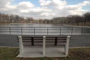View from a Bench 