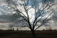 Clouds over Kissena 