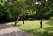 Alley Pond Scene 