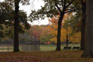 The Ballfields in Autumn 