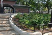 The Park in Fall 