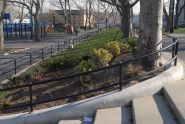 April Park Shot 