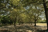 Beautiful Lanes 