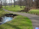 Latourette Golf Course - stream 