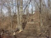 Staircase in woods 