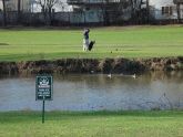 Golfer 