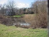 Silver Lake Golf Course - Thin Ice 