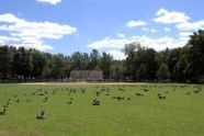 clove lakes pk01.jpg 