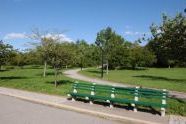 silver lake pk 01.jpg 