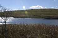 Fresh Kills Park 