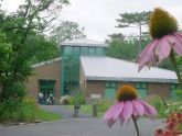 Cornflowers & the Nature Center 