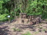 A Compost Pile 