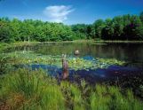 Blue Heron Park 