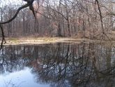 Allison Park 