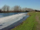 Birds on Ice - Golf Course 