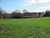 Green - Golf Course 