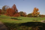 Prospect Park in Fall 