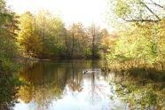 Prospect Park in Fall 