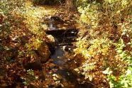 Prospect Park in Fall 