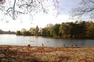 Prospect Park in Fall 