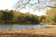 Prospect Park in Fall 
