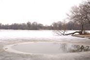 Prospect Park in Winter 
