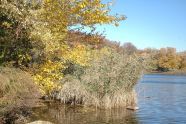 Prospect Park 