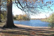 Prospect Park 