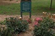 Tom Stofka Garden 
