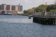 Kaiser Park Pier 