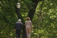 Fort Greene Park 