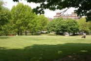 Fort Greene Park 