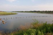 Marine Park Salt Marsh 