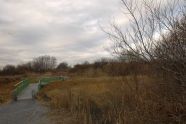 A Walk in the Park 