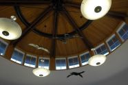 Nature Center Ceiling 