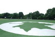 A Brand New Field 