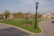 Park Triangle 