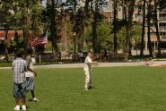 A Game of Frisbee on the Lawn 