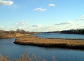 Fresh Creek Park 