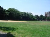 Frisch Field in Bronx Park 