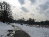 Bronx Park Zone 1 