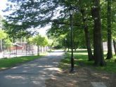 Allerton Fields in Bronx Park 