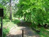 Bronx River Parkway West 
