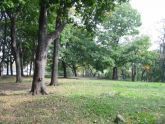 Hylan Park 