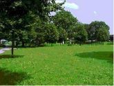 Open Field 