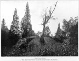 Split Rock Road 